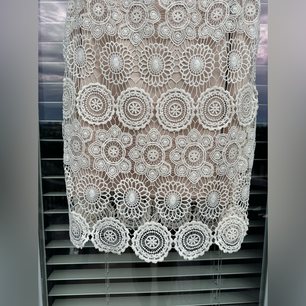 Eliza J Lace Sleeveless Shift Dress Size 6 Crochet Scalloped Hem Bohemian - Picture 7 of 9